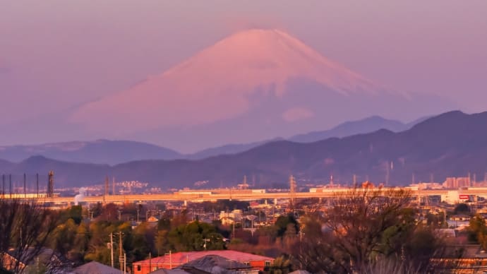 04/Mar 朝夕の春霞の富士山🗻と野鳥たちとおかめ桜