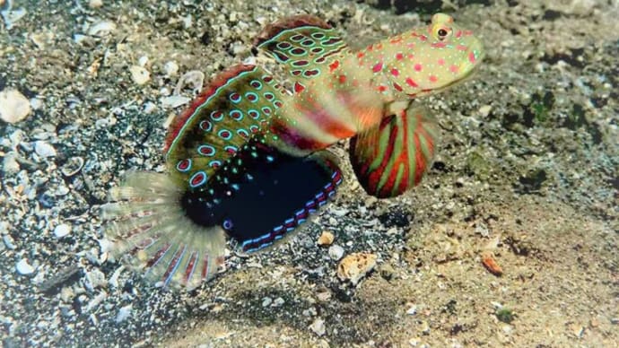 いつでも新鮮な海の中!!夏の思い出。☆