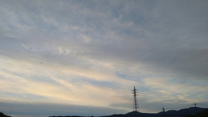 梅の実が実っていますの空