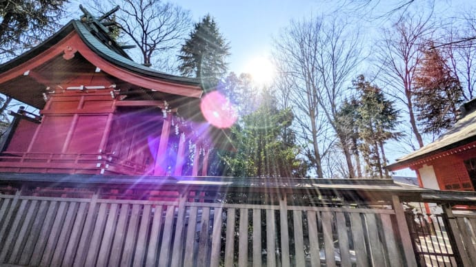 初詣✨瀬織津姫【小野神社】武蔵一の宮