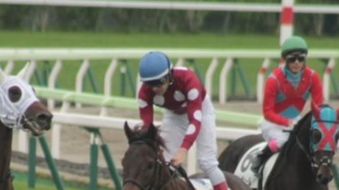 アメージングサン 新馬戦 クールダウン