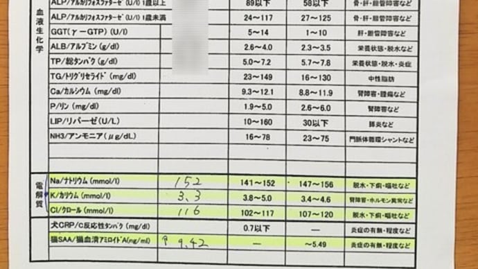 病院へ❗️