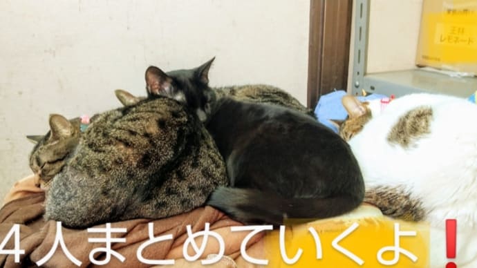 一緒ね! 土曜日Bクラス(2月後半) だあ❗️
