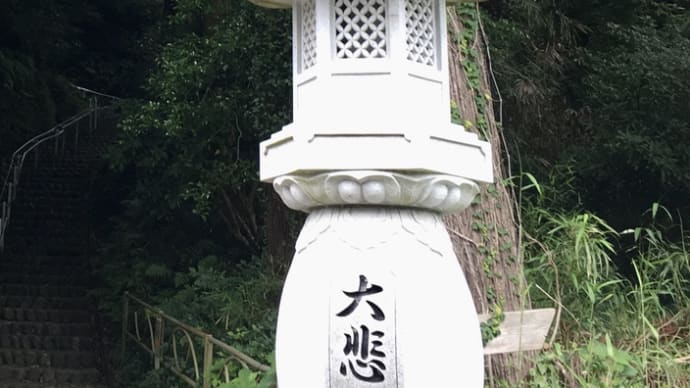 森林浴