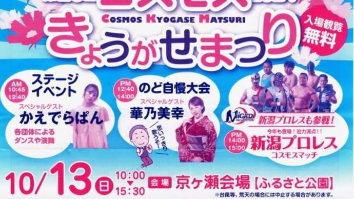 阿賀野市・コスモス京ヶ瀬まつり　2024