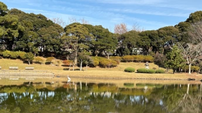内みのわ運動公園とすもも