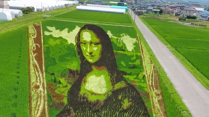 田んぼアート2022