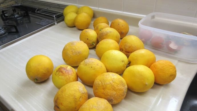 これで終わり「レモン果汁」しぼり。🍋