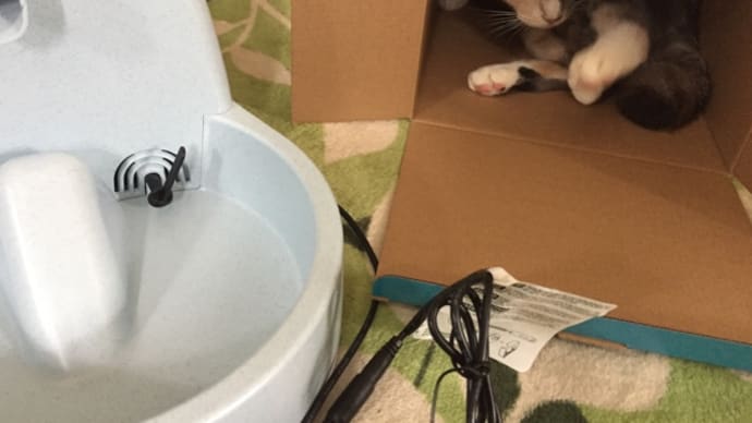 めいと給水機。