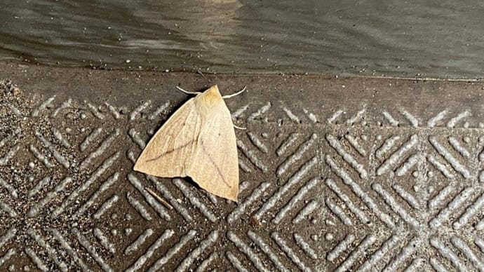 階段室のお客様
