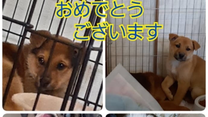 謹賀新年!