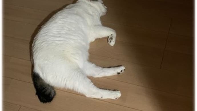 いろいろと・・・