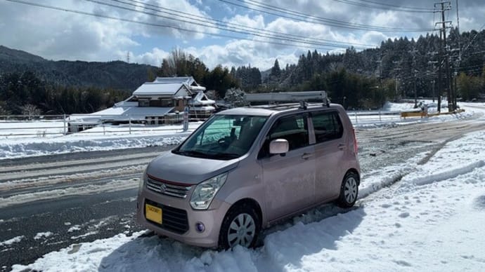 ワンコと雪遊び