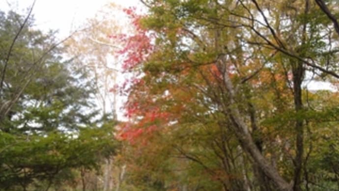 八ヶ岳 赤岳 天狗尾根(岩稜直登コース)