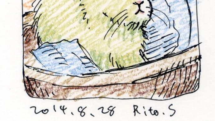 2014年08月28日習作模写等アナログうさぎ。さいはてりと。