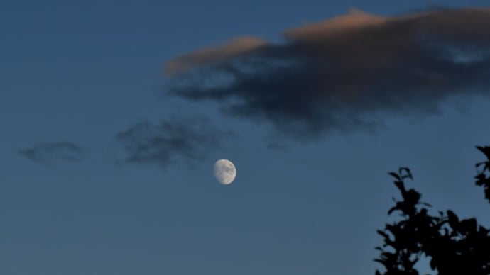 昨日は十三夜（栗名月）