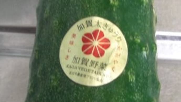 加賀太きゅうり と 金沢旅行の思い出~♪