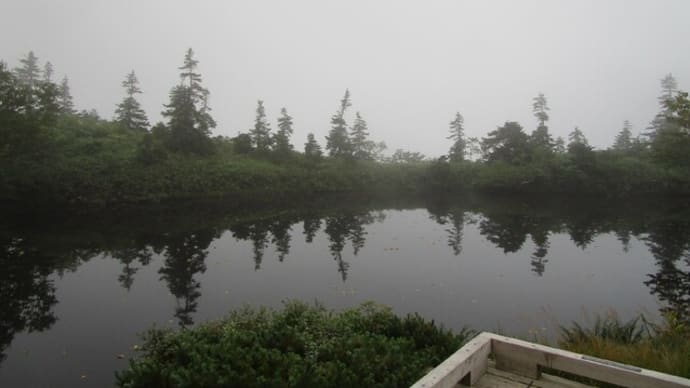 北アルプス 折立から新穂高縦走④ 鏡平山荘~新穂高