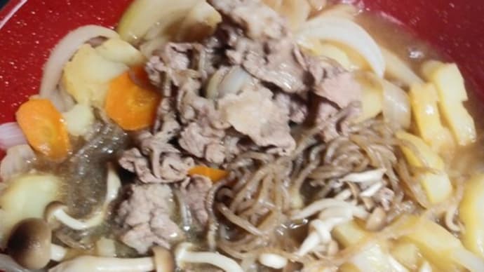 買い物袋 どうしてますか?