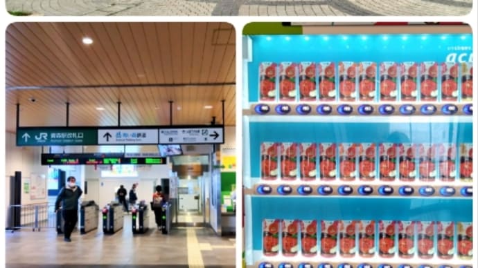 秋の東北旅(5)八戸から大湊