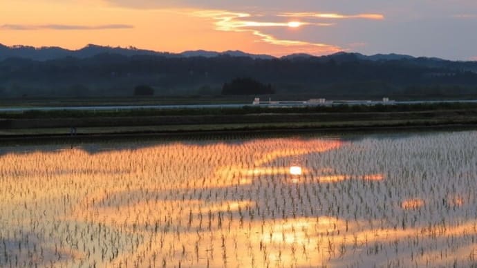 夕景を見ながらの散歩