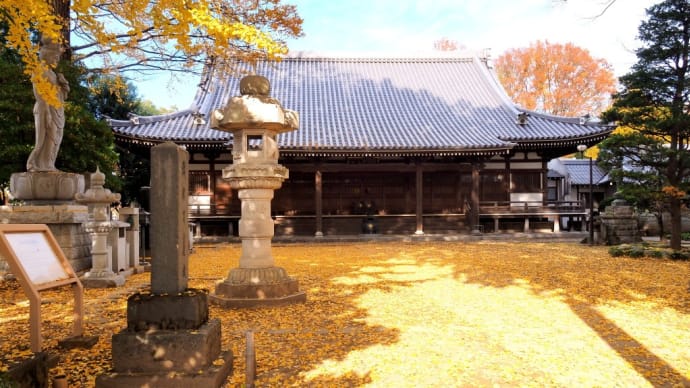 お寺や神社の紅葉