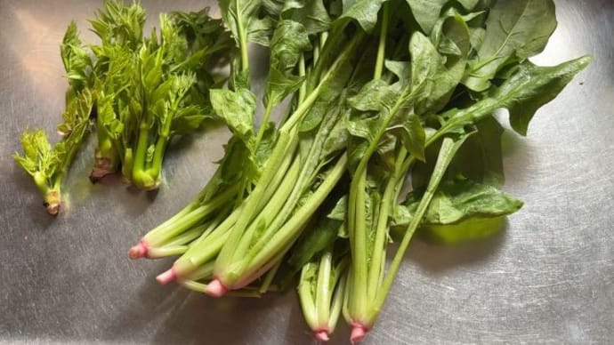 野菜が安くて感謝!町内の無人販売