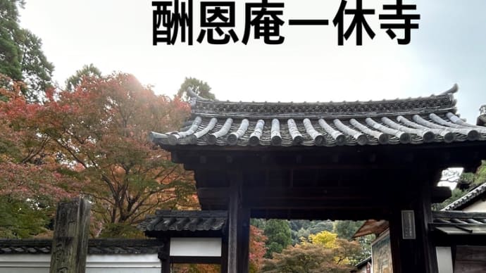 酬恩庵一休寺と叡福寺そして整形外科へ