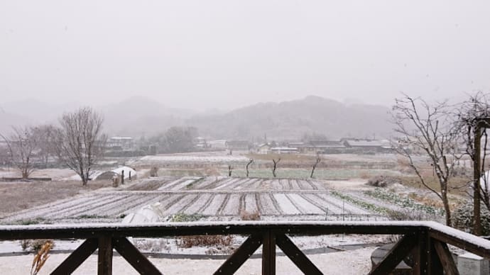 雪見だいふく ♬雪の華(中島美嘉)