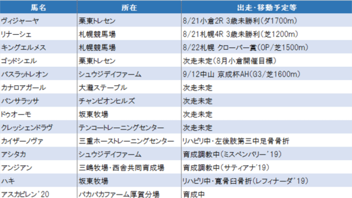 今週はキングエルメスと3歳未勝利勢が出走予定、ドグマに続け!
