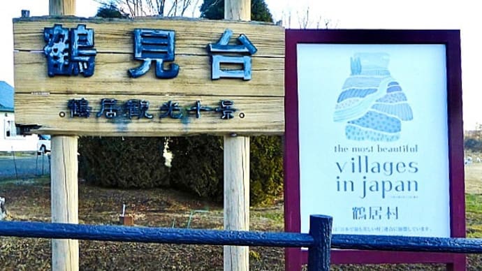 北海道鶴居村下雪裡にある鶴居観十景「鶴見台」でタンチョウを撮影してきました