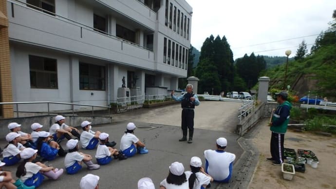 地元小学生が稚鮎放流体験