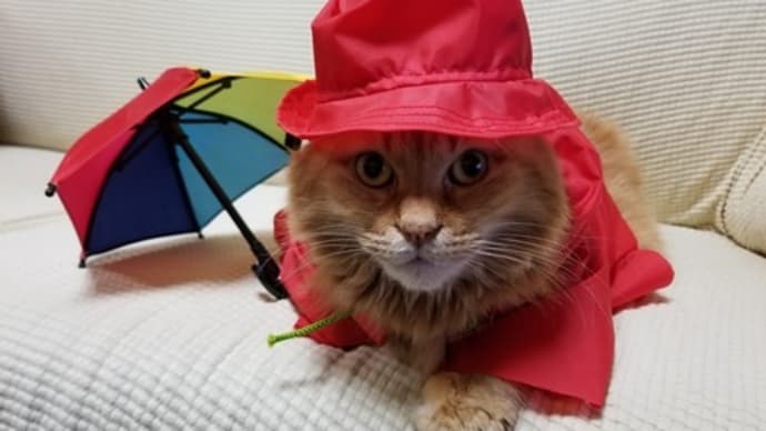 カラフルレインセットで雨の日もルンルン♪