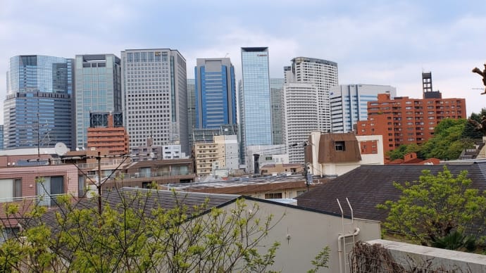 4月24日朝散歩