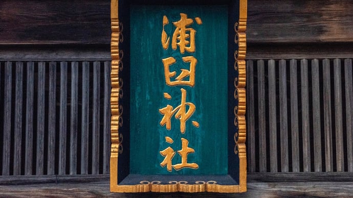 浦臼神社 エゾリスに会いに