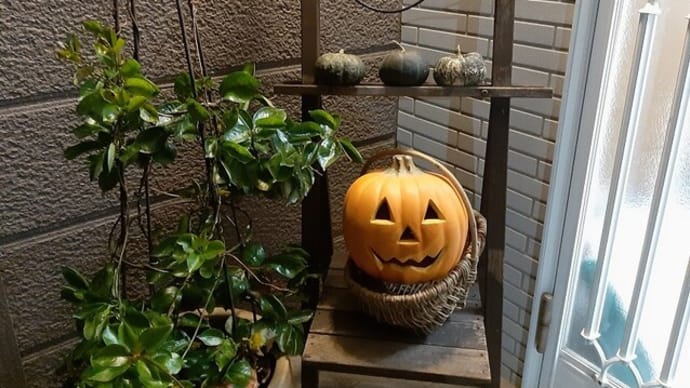 蒲郡クラフトフェア そして今日はハッピーハロウィン