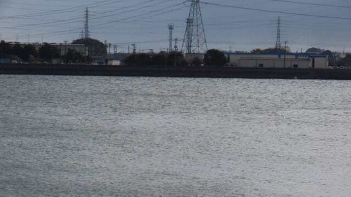 今朝の海2