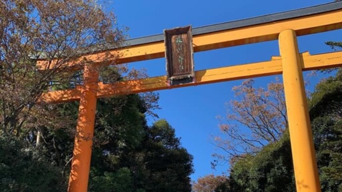今日はハレアートのメンバーと川越観光ツアー❓