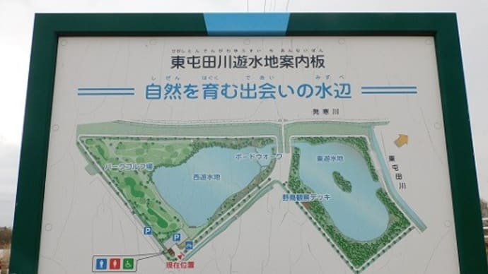 屯田・篠路・あいの里でバードウォッチング '21.04.03
