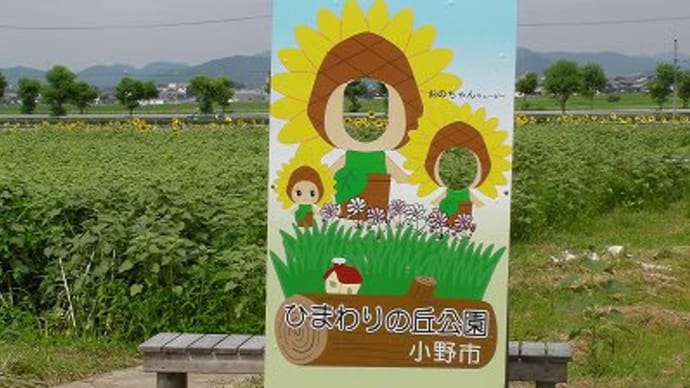 小野市 ひまわりの丘公園
