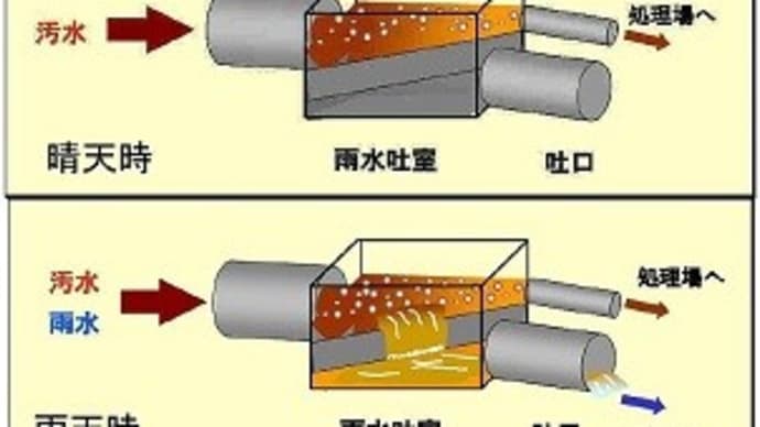 これが、おもてなし?~東京オリンピックのトライアスロン会場はウンコの海! 暑さ対策は朝顔で、ボランティアはブラック! もはや呆れるしかない