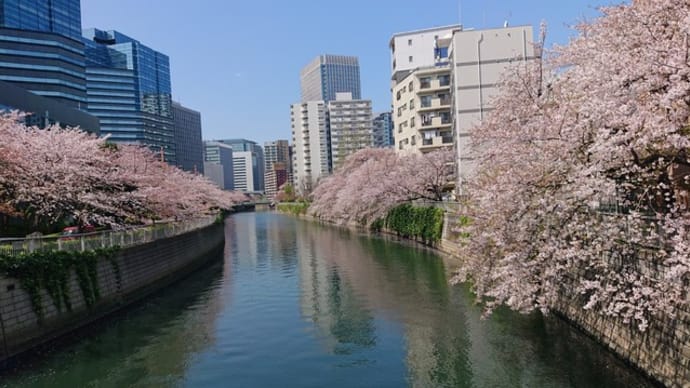 新型コロナウイルス対策 - 2例目の発症、緊急事態宣言は出たけど変わらない日常。これで大丈夫か。