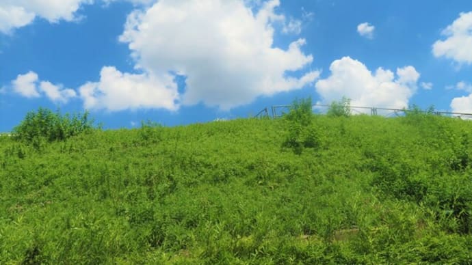 7月最後の日曜日~!
