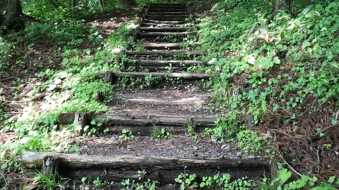 山道を登って願いをかける。