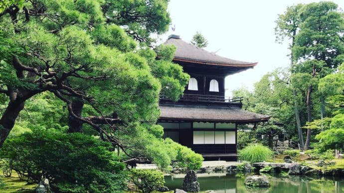 京都は。