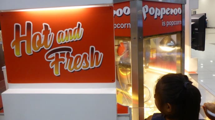 2019、2020年末年始　フィリピン・ビコル地方旅行（3日目-10）popperoo is popcorn