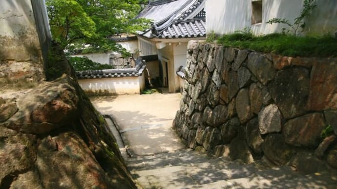 幻の堺幕府