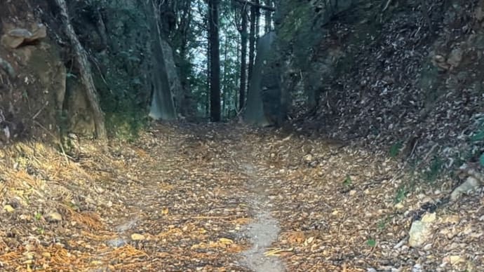 険道の旅「通行困難」の看板がある県道「高知県道33号」3〔高知県南国市〕