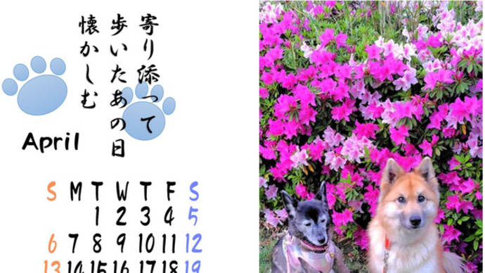 ヤバいなぁ めまい症が 再発や