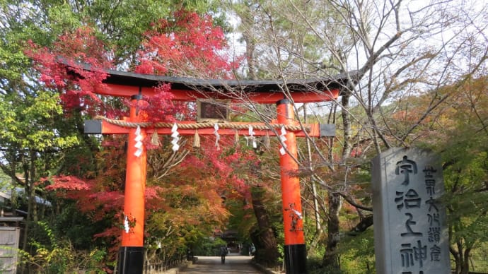 宇治の平等院、近くには由緒ある素敵な所が沢山あります!お茶も有名!